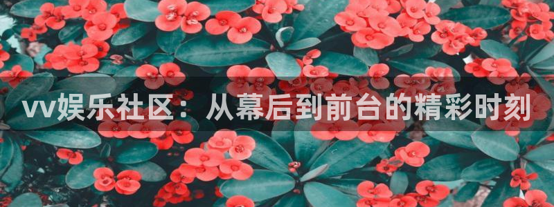 舒克极悦：vv娱乐社区：从幕后到前台的精彩时刻