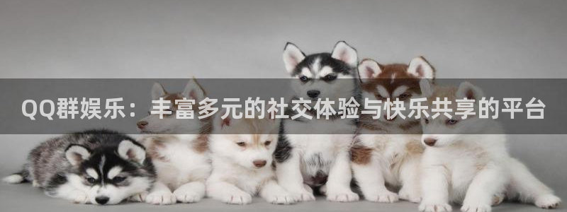 极悦：QQ群娱乐：丰富多元的社交体验与快乐共享的平台