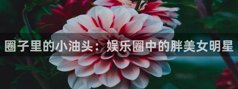 极悦官方注册：圈子里的小油头：娱乐圈中的胖美女明星