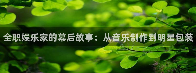 舒克极悦：全职娱乐家的幕后故事：从音乐制作到明星包装