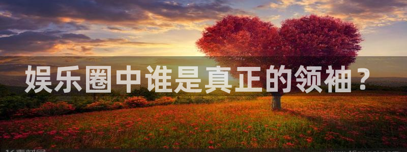 极悦平台注册：娱乐圈中谁是真正的领袖？