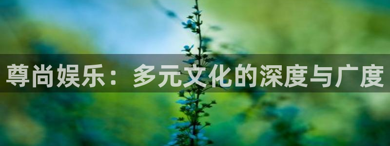 极悦平台：尊尚娱乐：多元文化的深度与广度