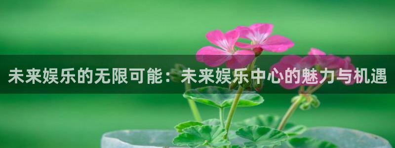 舒克极悦：未来娱乐的无限可能：未来娱乐中心的魅力与机遇