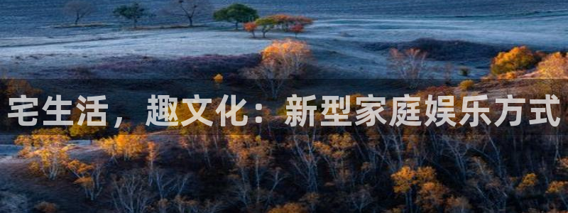 极悦生活：宅生活，趣文化：新型家庭娱乐方式