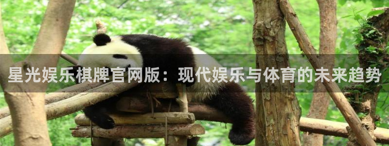 极悦官方网：星光娱乐棋牌官网版：现代娱乐与体育的未来趋势