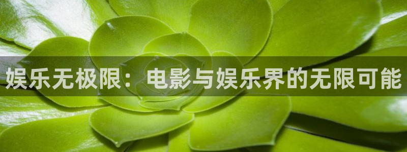 舒客极悦：娱乐无极限：电影与娱乐界的无限可能