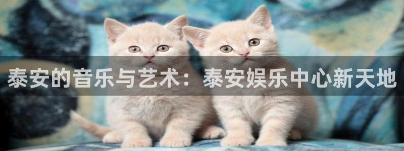 极悦平台注册：泰安的音乐与艺术：泰安娱乐中心新天地