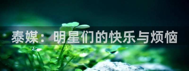 极悦官方注册：泰媒：明星们的快乐与烦恼