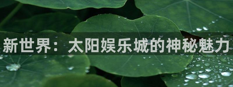 程极悦：新世界：太阳娱乐城的神秘魅力